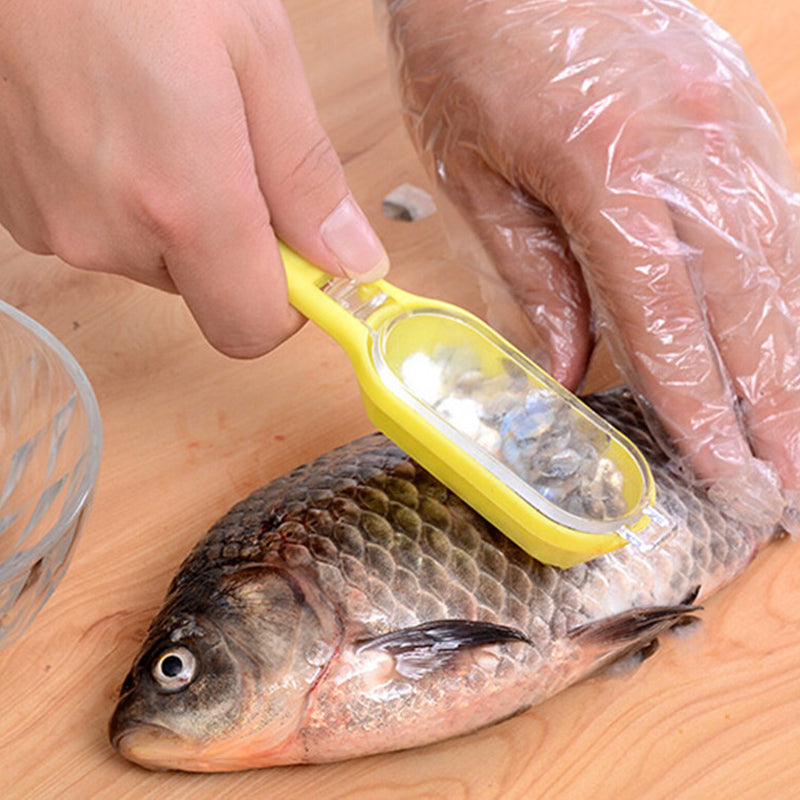 Fish Scale Scraper with Lid