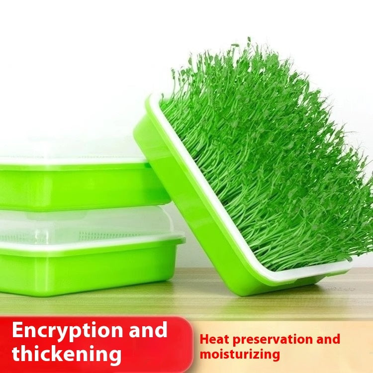 Balcony Vegetable Planting Hydroponic Vegetables Tray