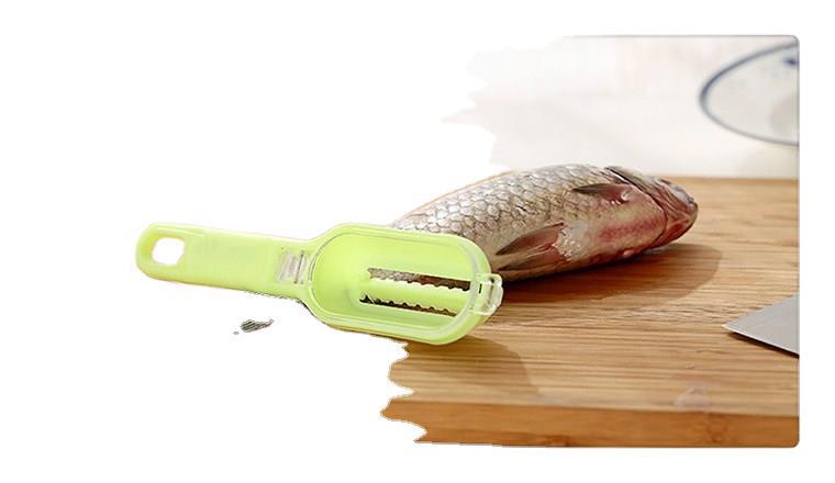 Fish Scale Scraper with Lid