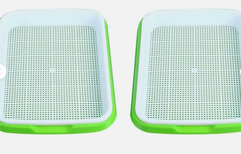 Balcony Vegetable Planting Hydroponic Vegetables Tray