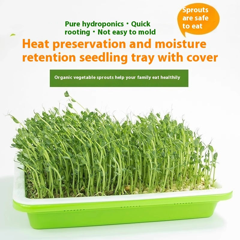 Balcony Vegetable Planting Hydroponic Vegetables Tray